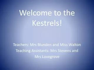 Welcome to the Kestrels!