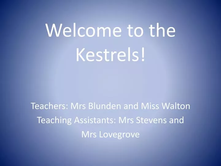 welcome to the kestrels