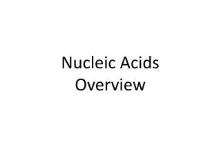 Nucleic Acids Overview