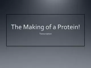The Making of a Protein!