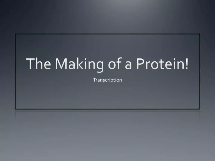 the making of a protein