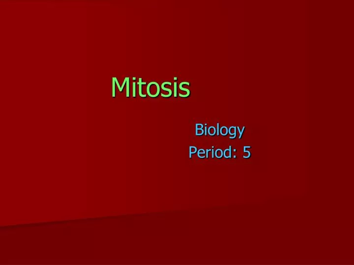 mitosis