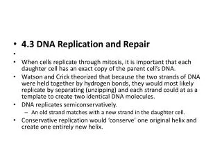 4.3 DNA Replication and Repair