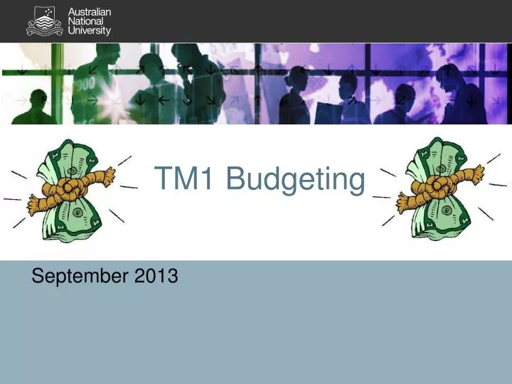 tm1 budgeting