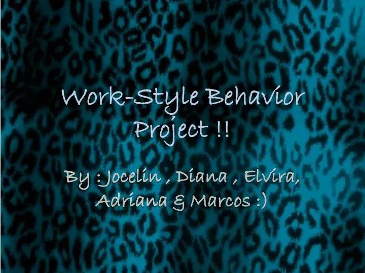 work style behavior project