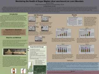 Monitoring the Health of Sugar Maples ( Acer saccharum ) on Loon Mountain Harrison Jutras