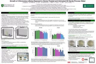 Growth of Chironomus dilutus Exposed to Ozone-Treated and Untreated Oil Sands Process Water
