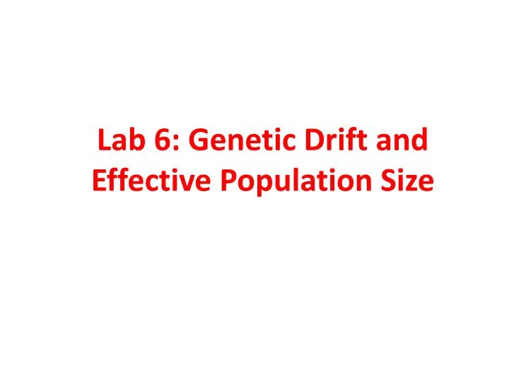 lab 6 genetic drift and effective population size