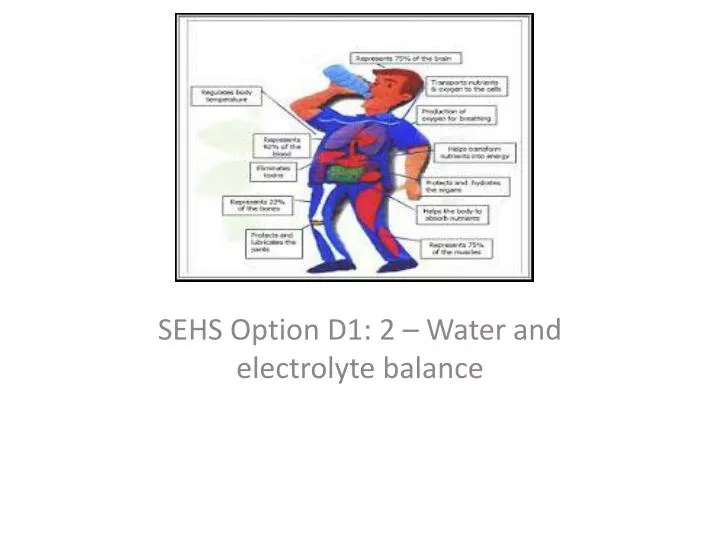 sehs option d1 2 water and electrolyte balance