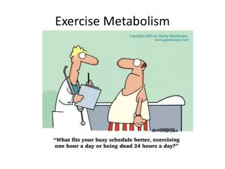 Exercise Metabolism