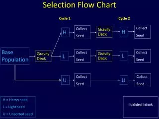 Selection Flow Chart