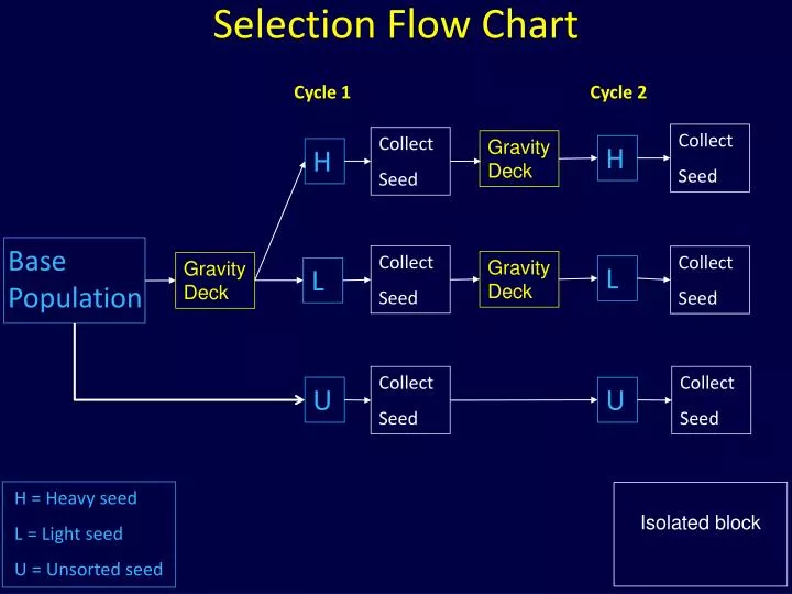selection flow chart