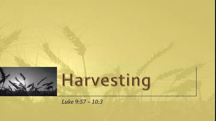 harvesting