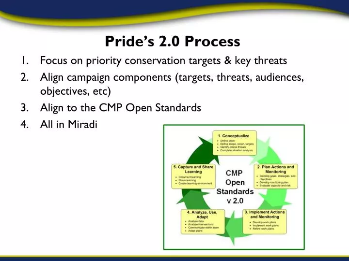 pride s 2 0 process