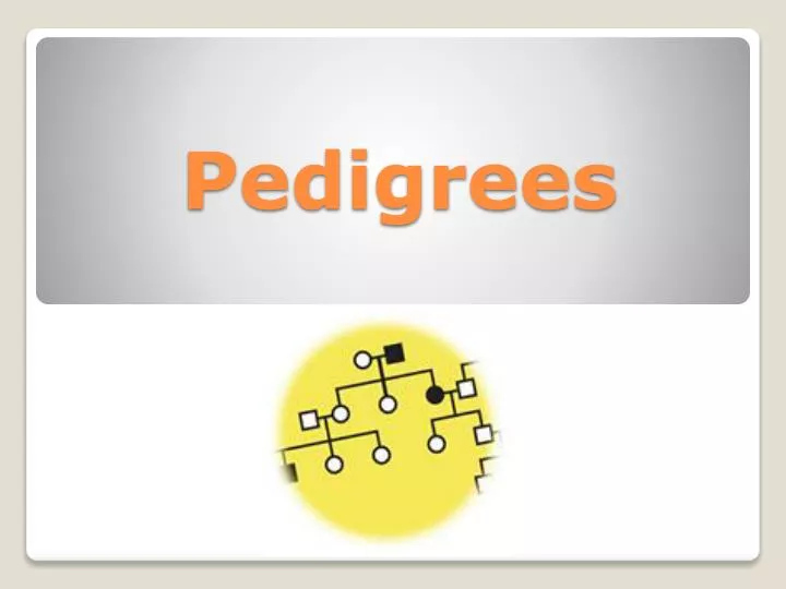 pedigrees