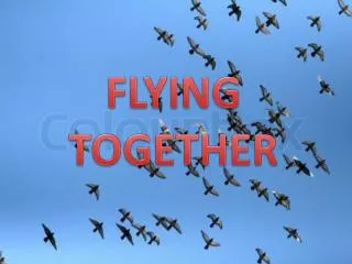 FLYING TOGETHER