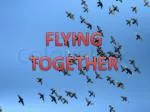 FLYING TOGETHER - slide 1