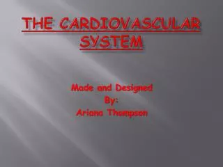 The cardiovascular system