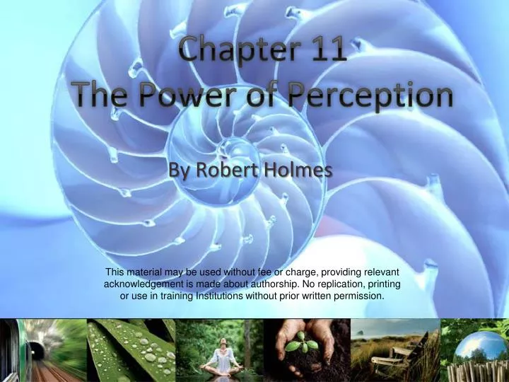 chapter 11 the power of perception