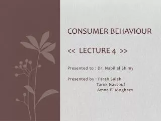 consumer behaviour lecture 4