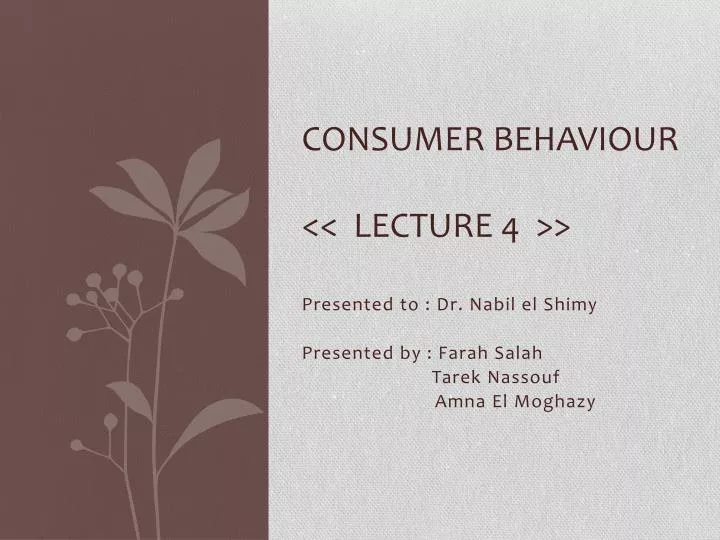 consumer behaviour lecture 4