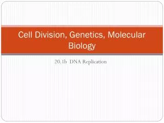 Cell Division, Genetics, Molecular Biology