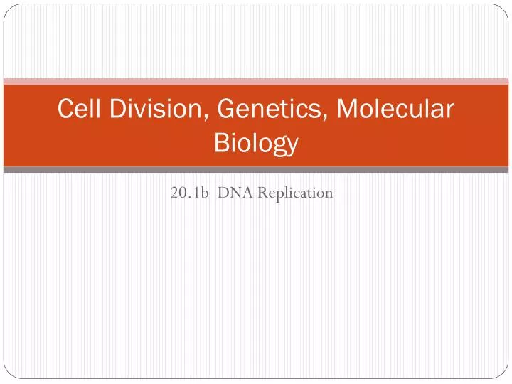 cell division genetics molecular biology
