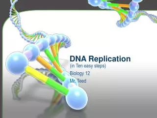 dna replication