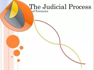 The Judicial Process