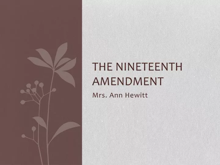 the nineteenth amendment