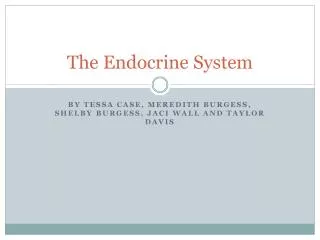 The Endocrine System