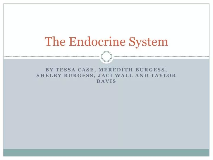 the endocrine system