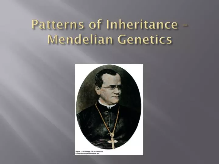 patterns of inheritance mendelian genetics