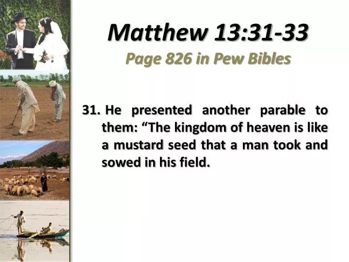 matthew 13 31 33 page 826 in pew bibles