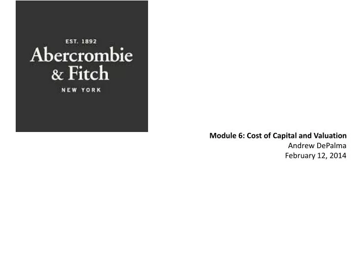 module 6 cost of capital and valuation andrew depalma february 12 2014