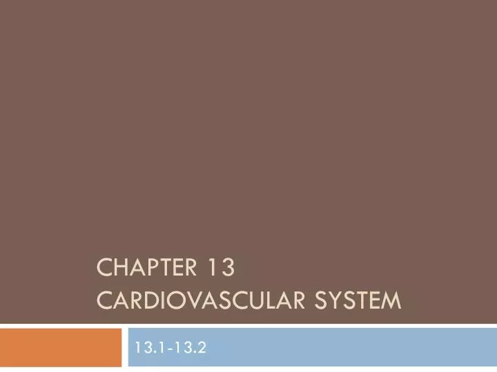 chapter 13 cardiovascular system