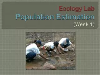 Ecology Lab Population Estimation (Week 1)