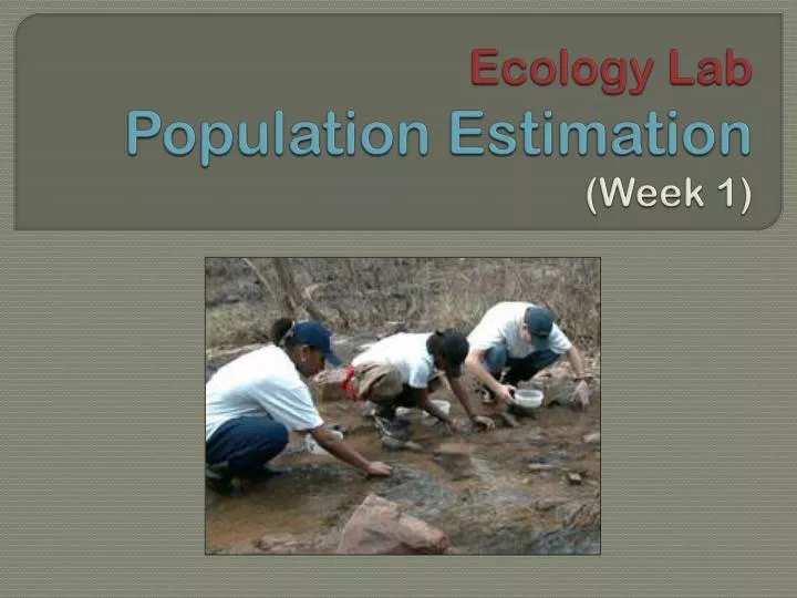 ecology lab population estimation week 1