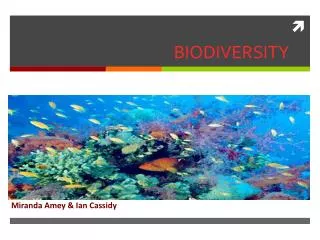 BIODIVERSITY