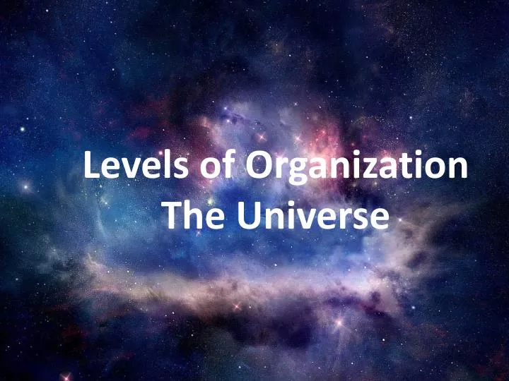 levels of organization the universe