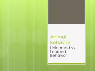 Animal Behavior