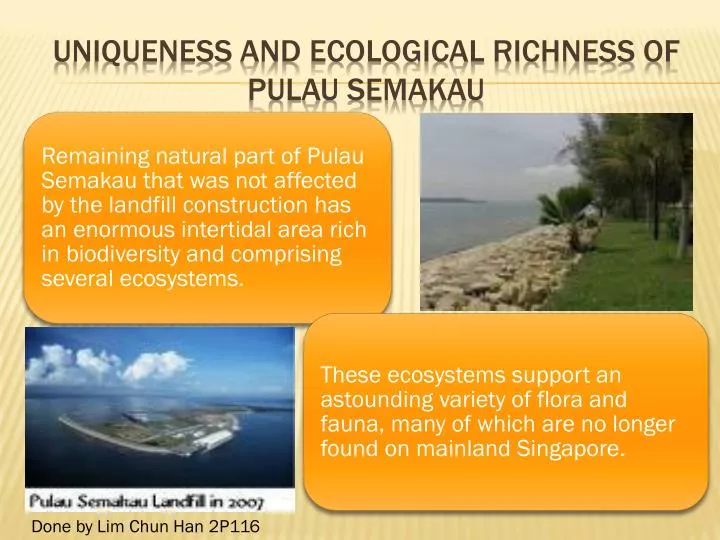 uniqueness and ecological richness of pulau semakau