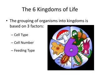 The 6 Kingdoms of Life