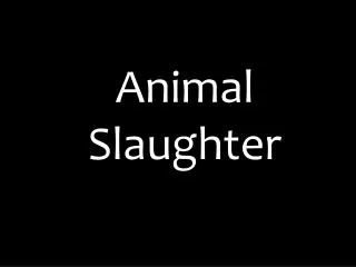 Animal Slaughter