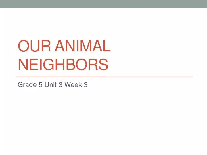 our animal neighbors