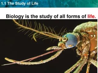 Biology is the study of all forms of life.