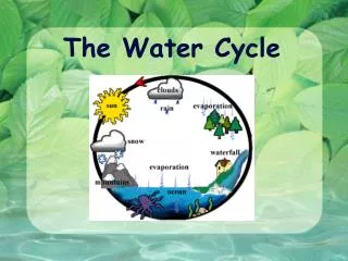 The Water Cycle