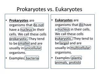 prokaryotes vs eukaryotes