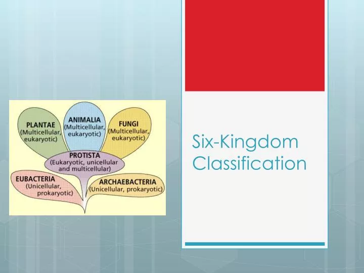 six kingdom classification