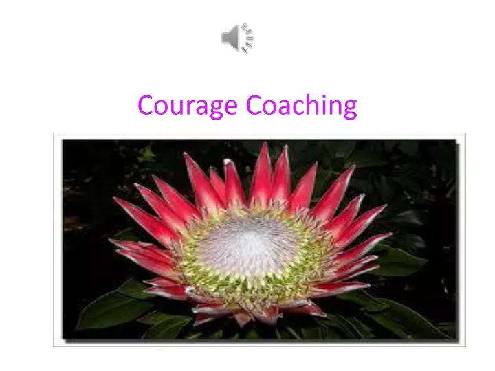courage coaching